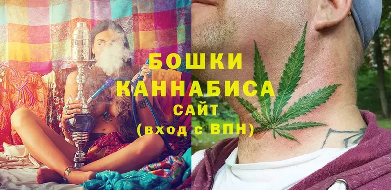 Бошки марихуана THC 21%  как найти наркотики  Шумиха 